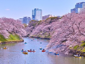 Tempat Romantis di Tokyo yang Cocok untuk Syahrini dan Reino