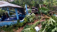 Puting beliung ini juga menyebabkan sejumlah pohon tumbang. (Istimewa)