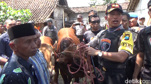 Pelaku Pencuri Sapi yang Bersembunyi di Atap Rumah Didor Polisi