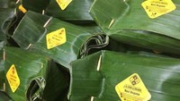 Begini tampilan nasi bogana yang dibungkus daun pisang dan dijual di beberapa tempat di Tegal atau di luar Tegal. Foto : Instagram @jgfoodandsnack