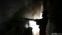Mereka membasmi nyamuk Aedes aegypti yang merupakan jenis nyamuk yang dapat membawa virus dengue penyebab penyakit demam berdarah.