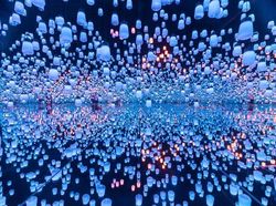 Jepretan Keren Finalis Sony World Photography 2019