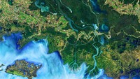 Rama Nemani menyebutkan bahwa memang ada program-program di China untuk melestarikan dan memperluas hutan, dan penanaman tanaman pangan di India. Dok. NASA.
