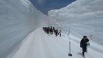 Jalan di Jepang Ini Mirip Tembok Es Game of Thrones