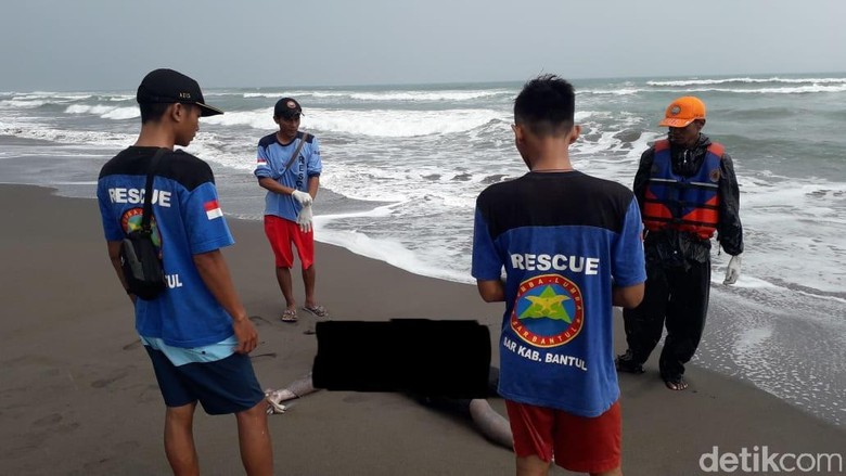 Ciri Ciri 2 Mayat Pria Misterius Di Pantai Cemara Sewu Bantul