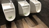 Cuci tangan sekaligus buang air. Air bekas cuci tangan dipakai untuk menyiram air seni. Hemat benar. Istimewa/Boredpanda.