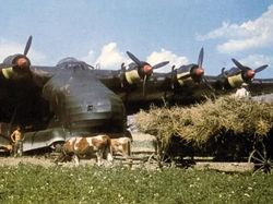 Foto Warna Langka Aksi Pesawat Nazi di Perang Dunia II