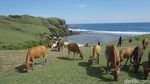 Foto: Lombok Rasa Eropa