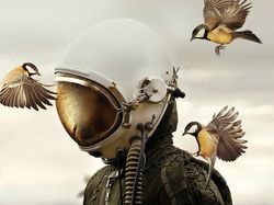 Jepretan Keren Finalis Sony World Photography 2019