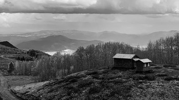 Oleh karena itu, kemajuan teknologi membuat orang dapat mengasah kemampuan fotografi mereka meski tak memiliki kamera profesional. Cukup dengan kamera ponsel, hasil foto menawan pun dapat diraih. Istimewa/Dok. Boredpanda.