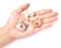 Sayang Dimakan! Marshmallow Ini Berbentuk Shiba Inu yang Menggemaskan