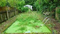 Saking tidak terawatnya halaman belakang ini, bahkan sampai ada rumput yang tumbuh di kolam renang. Istimewa/Dok. Boredpanda.