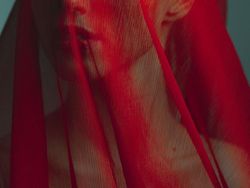 Jepretan Keren Finalis Sony World Photography 2019