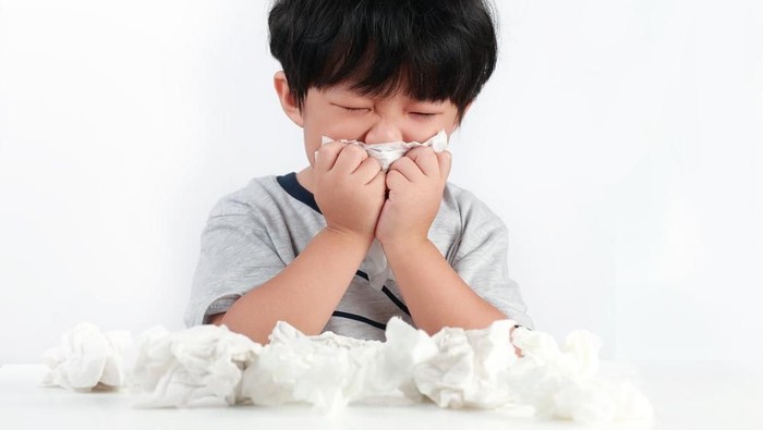 Foto: shutterstock Foto: shutterstock
