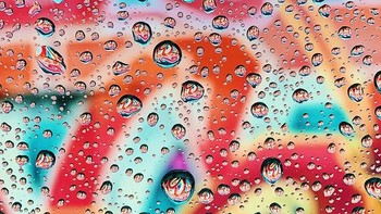 Salah satu hasil Jepretan kamera iPhone Xs. Istimewa/Dok. Boredpanda.