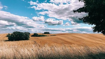 Ponsel menjadi perangkat teknologi yang paling diandalkan banyak orang saat ini. Beragam fitur canggih pun mulai melengkapi ponsel masa kini salah satunya kamera yang canggih. Seperti hasil foto ini yang diambil menggunakan kamera iPhone 7. Istimewa/Dok. Boredpanda.