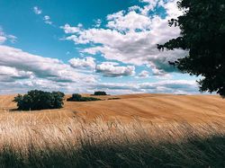 Kumpulan Foto Kece Ini Hasil Jepretan iPhone Lho