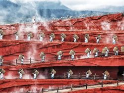 Jepretan Keren Finalis Sony World Photography 2019