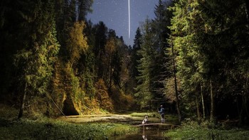 A Dog And Its Best Friends kategori Creative karya fotografer Arvids Baranovs asal Latvia. (Foto: Sony)