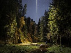 Jepretan Keren Finalis Sony World Photography 2019