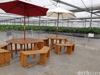 (Bonauli/detikTravel)
