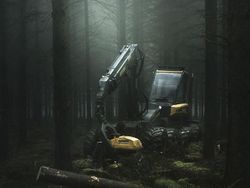 Jepretan Keren Finalis Sony World Photography 2019