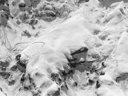 Jepretan Keren Finalis Sony World Photography 2019