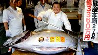 5 Jenis Ikan Ini Masuk dalam Daftar Ikan Termahal di Dunia