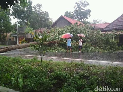 Angin Kencang Mengamuk di Tulungagung, Sejumlah Rumah Rusak