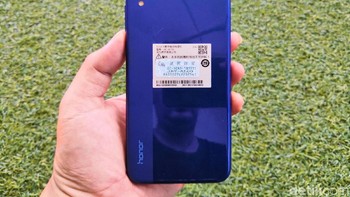 Penampakan bagian belakangnya yang cukup menarik, biru dengan aksen garis di sisinya berwarna lebih muda. Foto: fyk