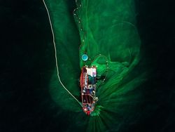 Jepretan Keren Finalis Sony World Photography 2019