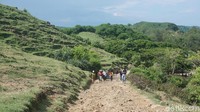  Bukit Merese berada di antara Pantai Seger dan Pantai Tanjung Aan. Tidak ada tiket masuk ke sana, hanya bayar parkir lalu lanjut jalan menanjak sekitar 10 menit (Afif Farhan/detikTravel)  