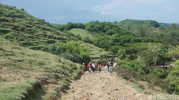 Bukit Merese berada di antara Pantai Seger dan Pantai Tanjung Aan. Tidak ada tiket masuk ke sana, hanya bayar parkir lalu lanjut jalan menanjak sekitar 10 menit (Afif Farhan/detikTravel) Bukit Merese berada di antara Pantai Seger dan Pantai Tanjung Aan. Tidak ada tiket masuk ke sana, hanya bayar parkir lalu lanjut jalan menanjak sekitar 10 menit (Afif Farhan/detikTravel)