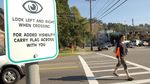 Beda Pelican Crossing RI dan Luar Negeri