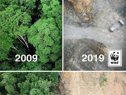 Kumpulan Foto Viral yang Ternyata Hoax!