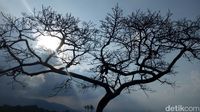 (Aji Kusuma/detikTravel)