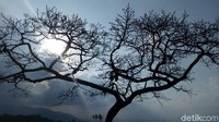 Pemandangan alami yang sangat cocok menjadi latar mengambil foto. Meski BW (black white) (Aji Kusuma/detikTravel)