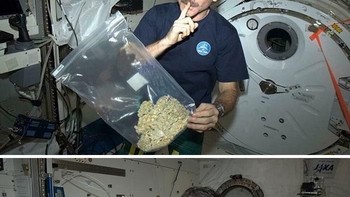 Seorang astronot Chris Hadfiels yang gemar membuat vlog tentang kehidupannya sebagai astronot sempat membuat heboh karena dirinya membawa mariyuana dalam kantong plastik saat bertugas ke luar angkasa. Faktanya, ia sebenarnya membawa benda lain yang mirip dengan telur. (Foto: Boredpanda)
