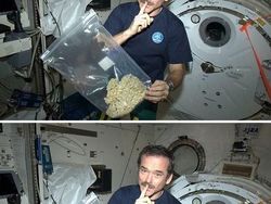 Kumpulan Foto Viral yang Ternyata Hoax!