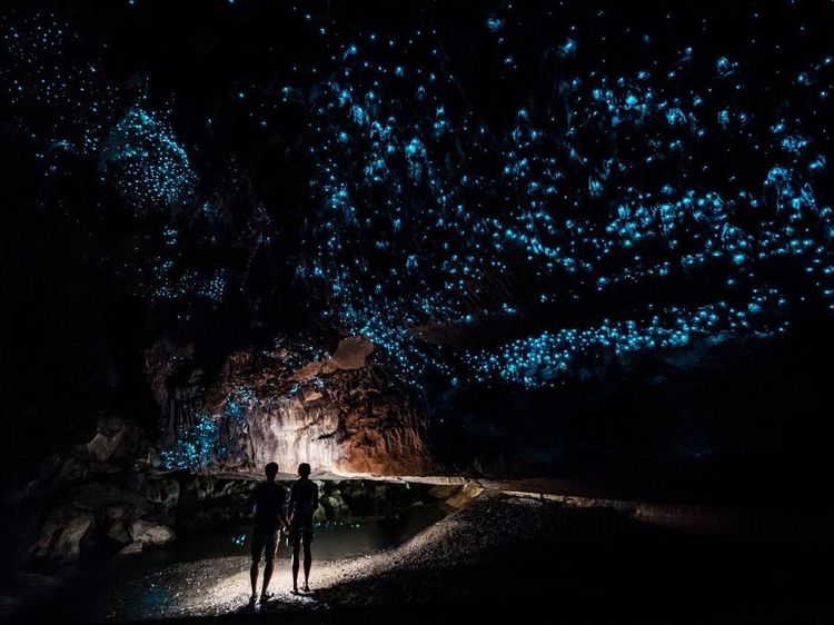 Bukan Langit Bertabur Bintang, Ini Gua Cacing Menyala
