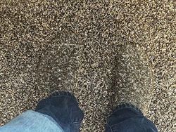 Foto Kebetulan Sama yang Menggelikan