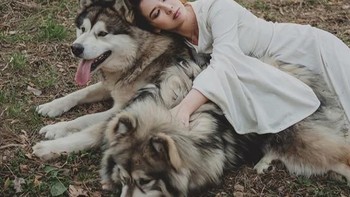 Selain beruang, Olga juga memotret dengan model hewan buas lain, seperti serigala, ular dan lain-lain. (Foto: Instagram/Olga Barantseva)