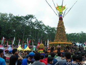 Ribuan Warga Berebut Gunungan Raksasa Isi 2019 Durian di Jombang