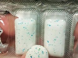 Foto Kebetulan Sama yang Menggelikan