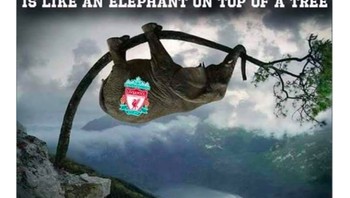 Liverpool di punca klasemen seperti seekor gajah di puncak pohon. Kalain tak tahu bagaimana ia bisa di atas sana tapi kalian tahu ia akan jatuh. Foto: istimewa