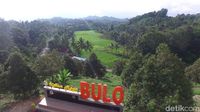 Melihat Kebun Raya Bulo, Surga Pencinta Durian di Polewali