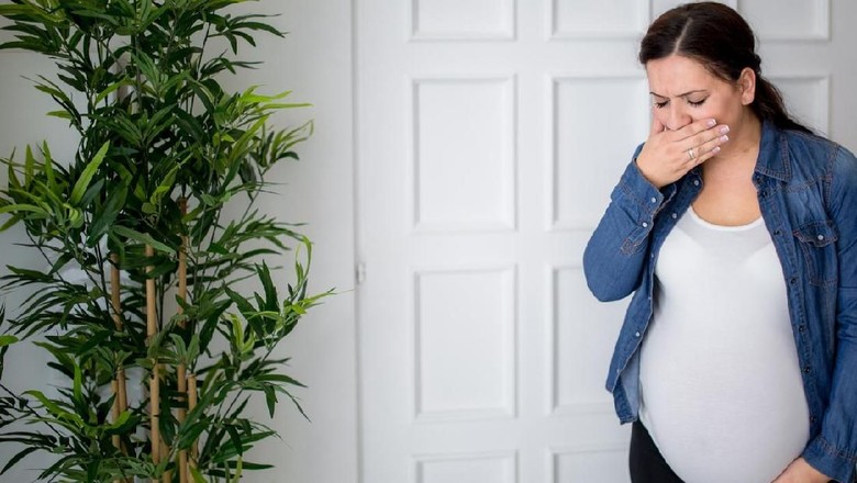 5 Tips Atasi Rasa Sensitif pada Bau-bauan di Awal Kehamilan/ Foto: istock 5 Tips Atasi Rasa Sensitif pada Bau-bauan di Awal Kehamilan/ Foto: istock