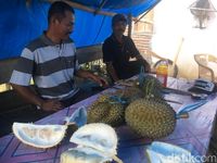 Melihat Kebun Raya Bulo, Surga Pencinta Durian di Polewali