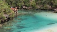 Biru, putih, segar. Apakah itu?