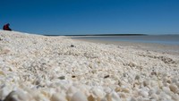 Shell Beach atau Pantai Kerang, di Australia Barat, seluas 120 km2 ini berada di Shark Bay, sekitar 45 Km dari tenggara Denham dan dipenuhi oleh jutaan cangkang kerang. (iStock)